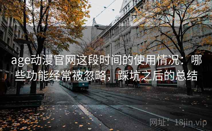 age动漫官网这段时间的使用情况：哪些功能经常被忽略，踩坑之后的总结