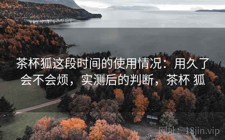 茶杯狐这段时间的使用情况：用久了会不会烦，实测后的判断，茶杯 狐