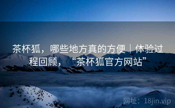 茶杯狐，哪些地方真的方便｜体验过程回顾，“茶杯狐官方网站”