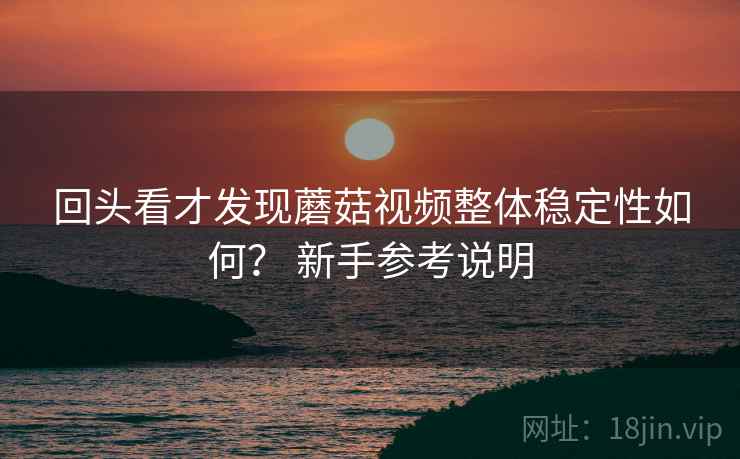 回头看才发现蘑菇视频整体稳定性如何？ 新手参考说明