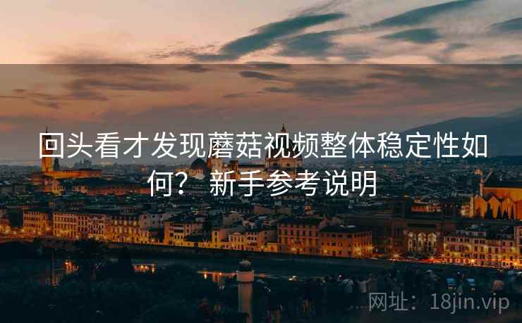 回头看才发现蘑菇视频整体稳定性如何？ 新手参考说明
